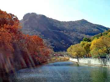 新澳天天开奖资料大全旅游团，架空历史小说排行榜